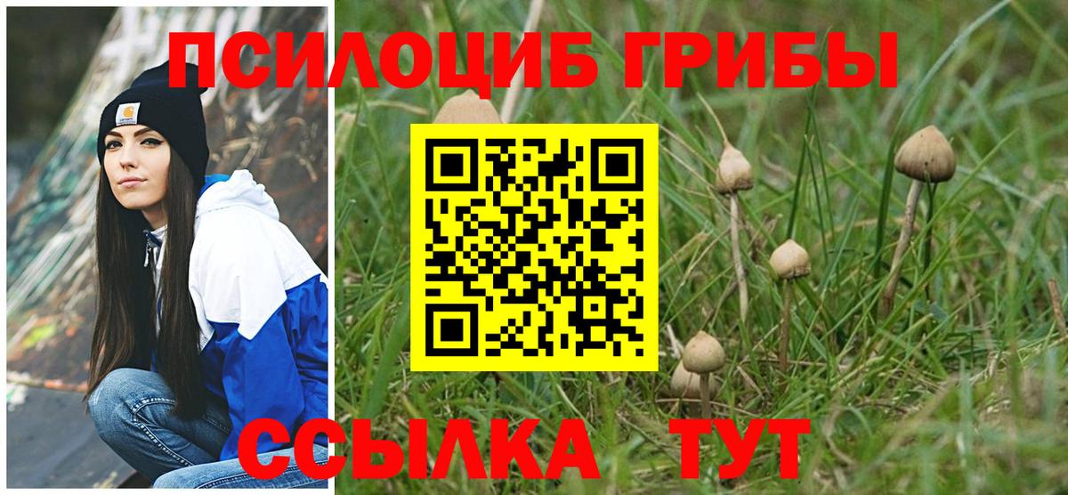 наркота  Ачхой-Мартан  Псилоцибиновые грибы GOLDEN TEACHER  Псилоцибиновые грибы ЛСД 