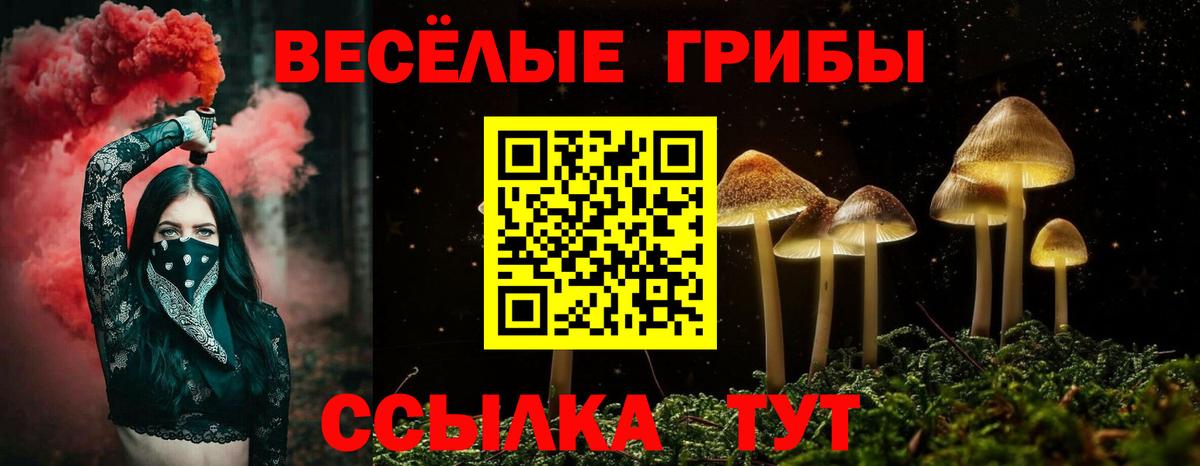 Псилоцибиновые грибы мухоморы Ачхой-Мартан