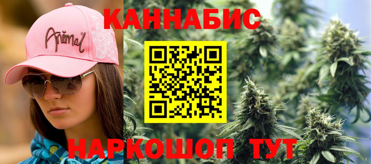 Ачхой-Мартан  Бошки марихуана OG Kush  Вход с VPN  Каннабис VHQ  Бошки марихуана OG Kush  Каннабис семена 